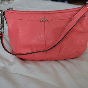 EUC Coach mini clutch